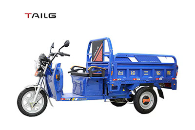 Triciclo Elétrico Tailg